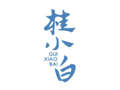 桂小白