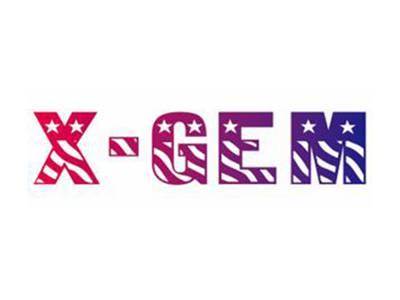 X-GEM