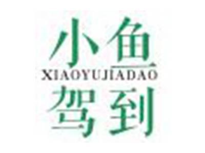 小鱼驾到