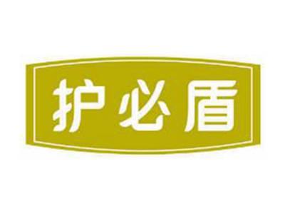 护必盾