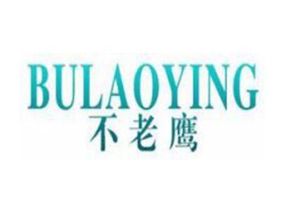 不老鹰