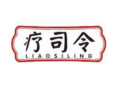 疗司令
