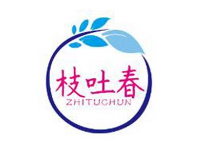 枝吐春