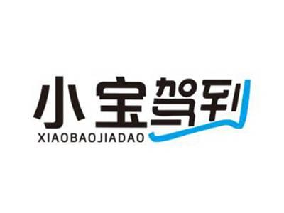 小宝驾到