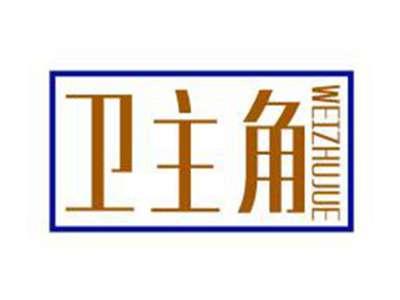卫主角