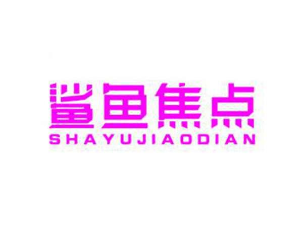 鲨鱼焦点SHAYUJIAODIAN