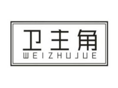 卫主角