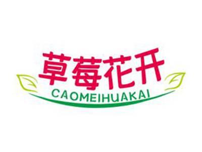 草莓花开