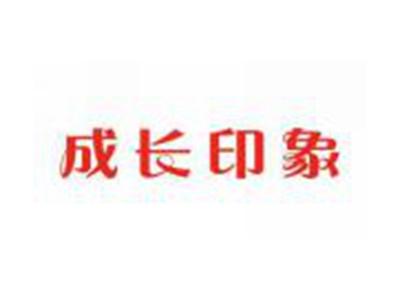 成长印象