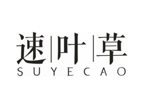 速叶草SUYECAO