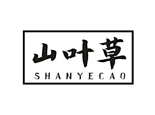 山叶草SHANYECAO