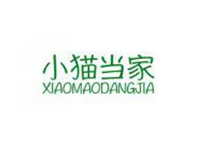小猫当家