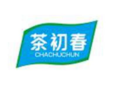 茶初春
