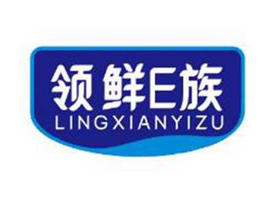 领鲜E族LINGXIANYIZU