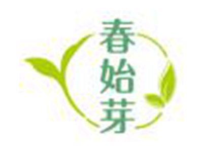 春始芽