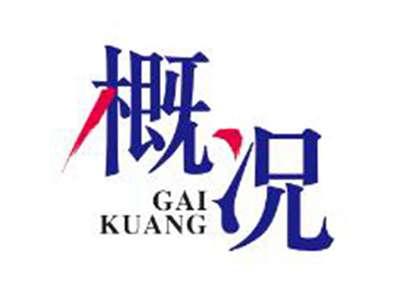 概况