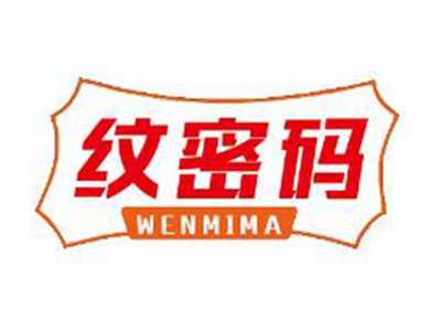 纹密码