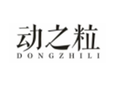 动之粒