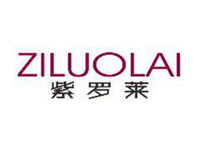 紫罗莱ZILUOLAN