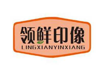 领鲜印像