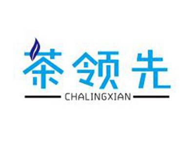 茶领先