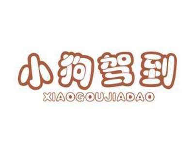 小狗驾到