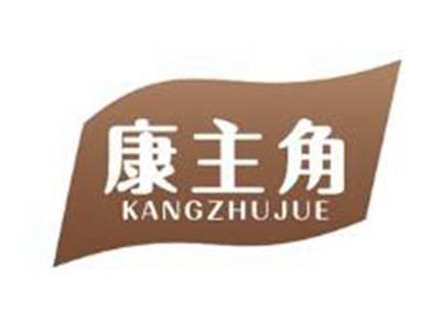 康主角