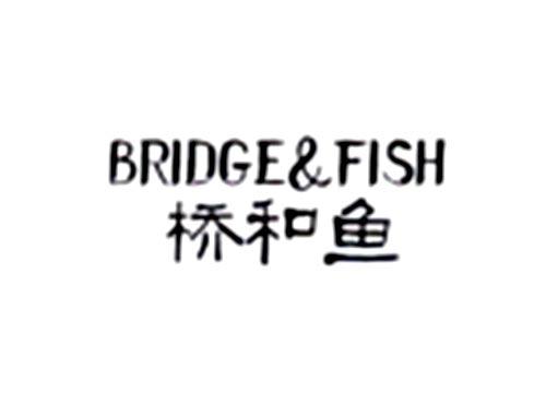 桥和鱼