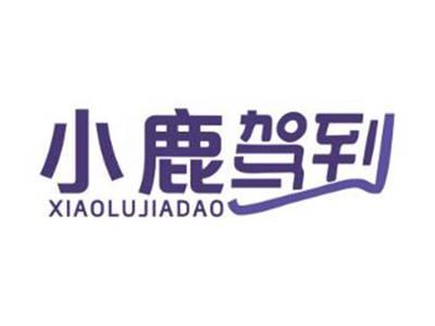 小鹿驾到