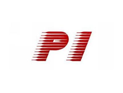 PI