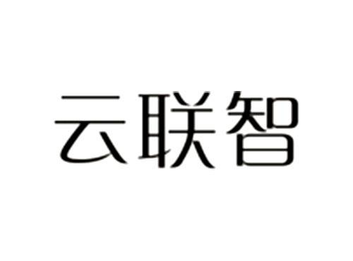 云联智