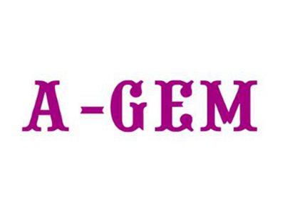 A-GEM
