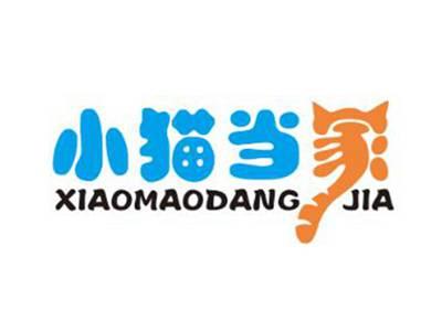 小猫当家