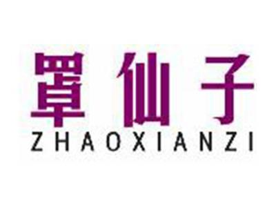罩仙子