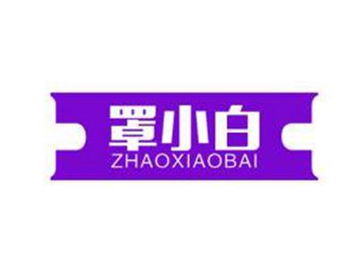 罩小白