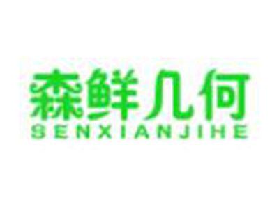 森鲜几何SENXIANJIHE