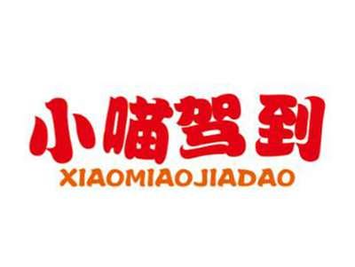 小喵驾到