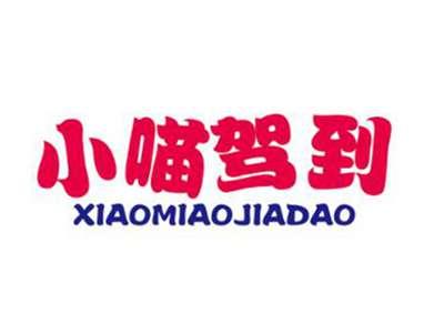 小喵驾到
