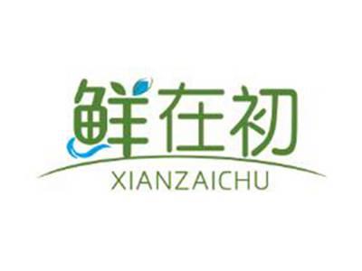 鲜在初