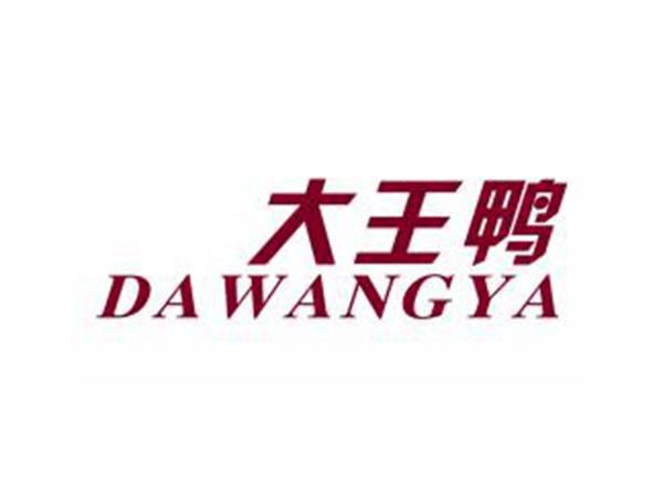大王鸭DAWANGYA