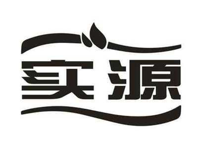 实源