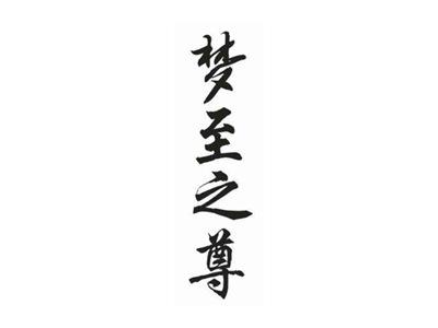 梦至之尊