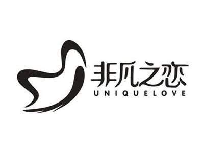 非凡之恋