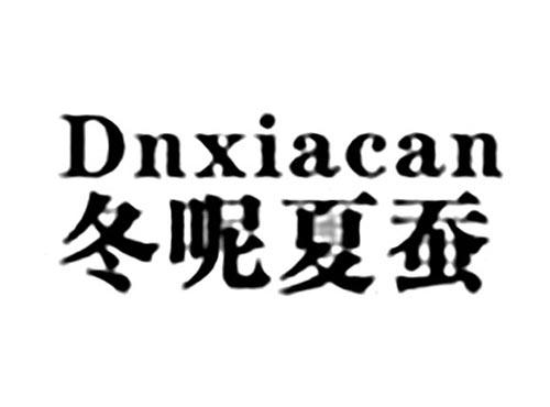 冬呢夏蚕DNXIACAN