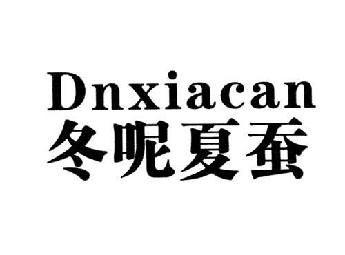 冬呢夏蚕DNXIACAN