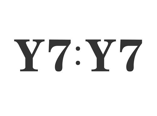 Y7:Y7