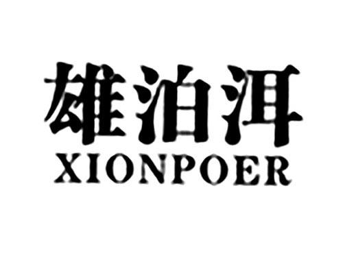 雄泊洱