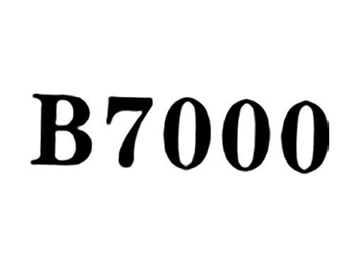 B7000