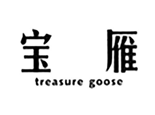 宝雁TREASUREGOOSE