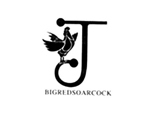 BIGREDSOARCOCK